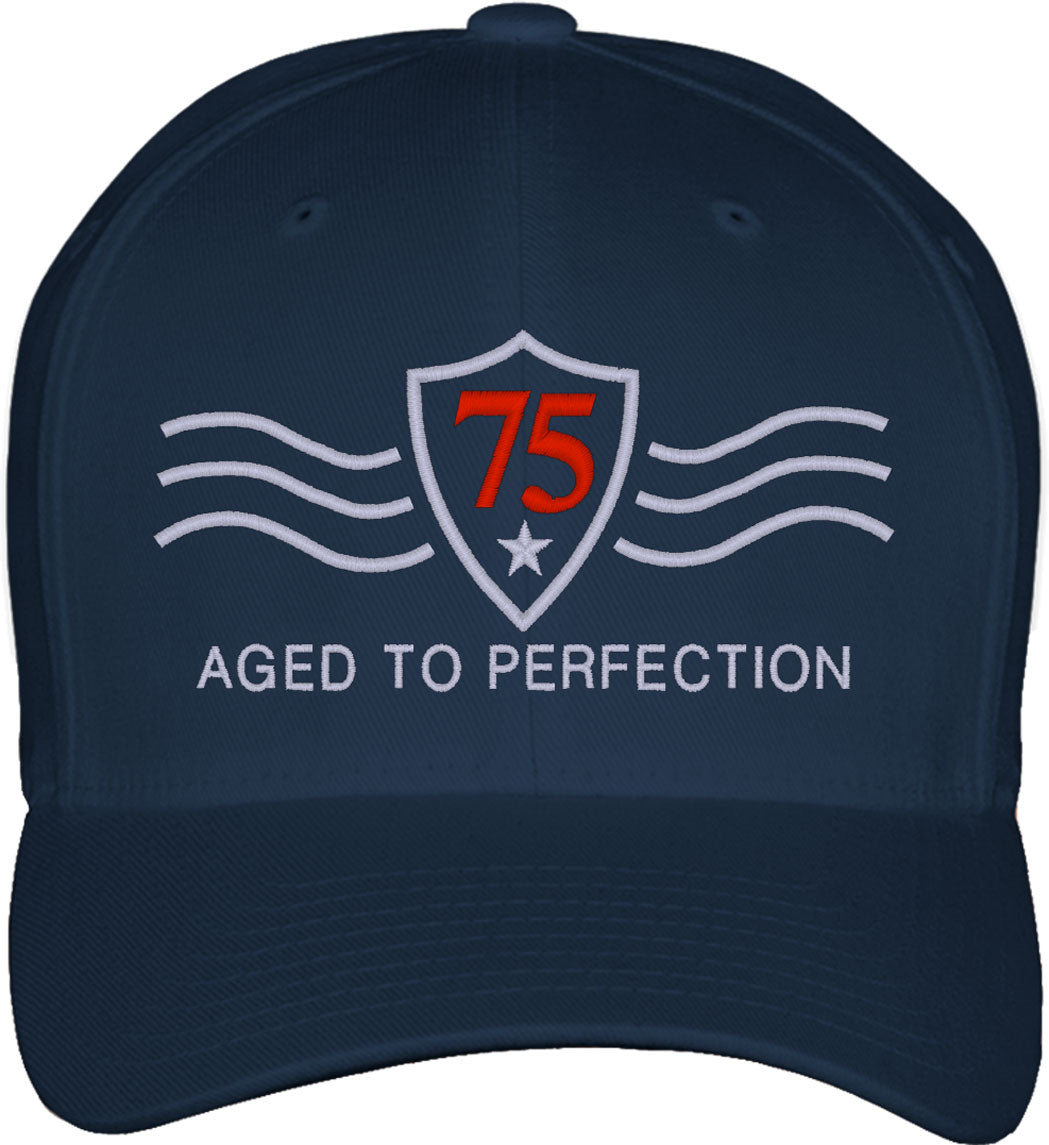 Vintage [Custom Age] Aged To Perfection Birthday Fitted Baseball Cap