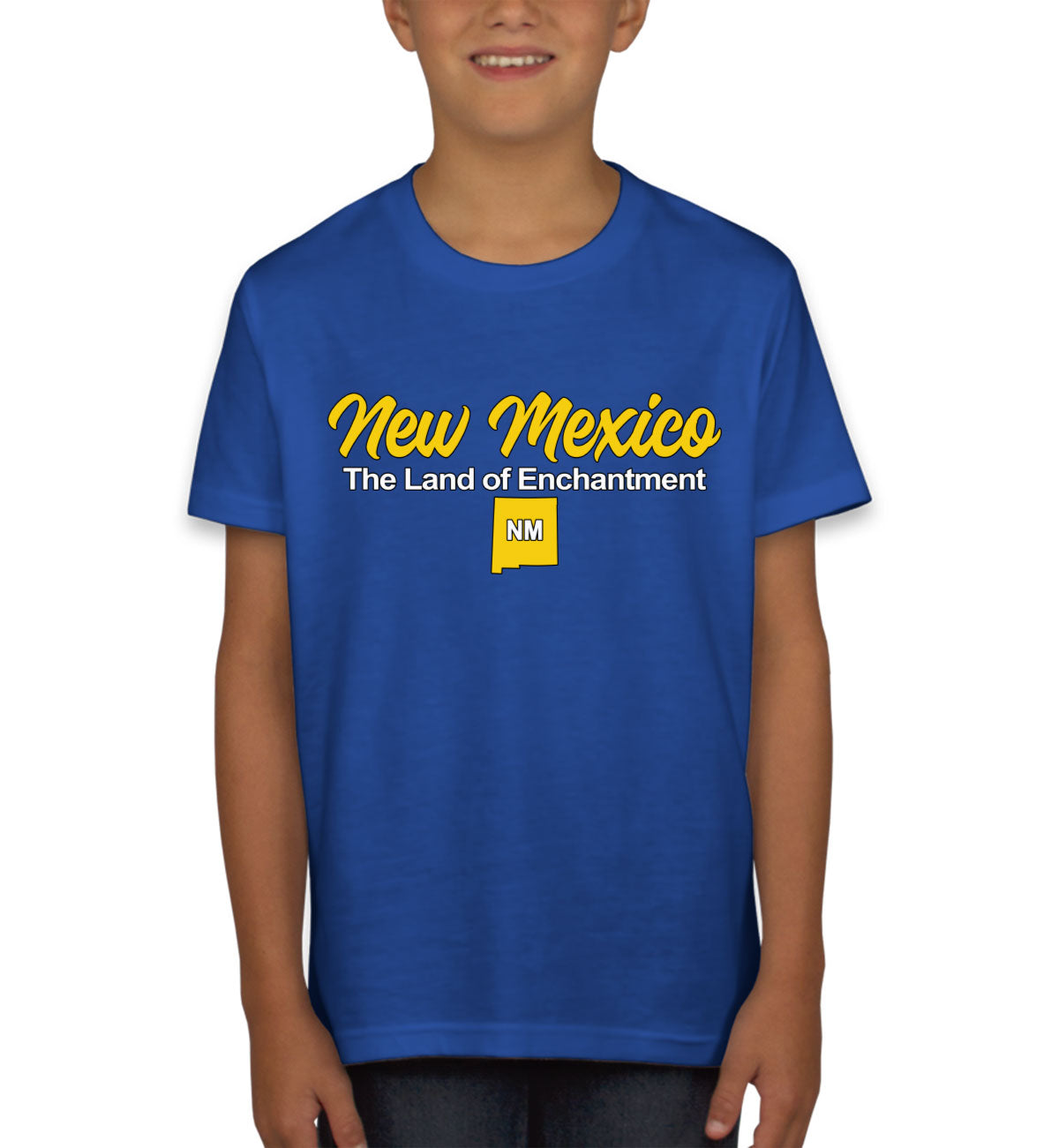 New Mexico The Land Of Enchantment Youth T-shirt