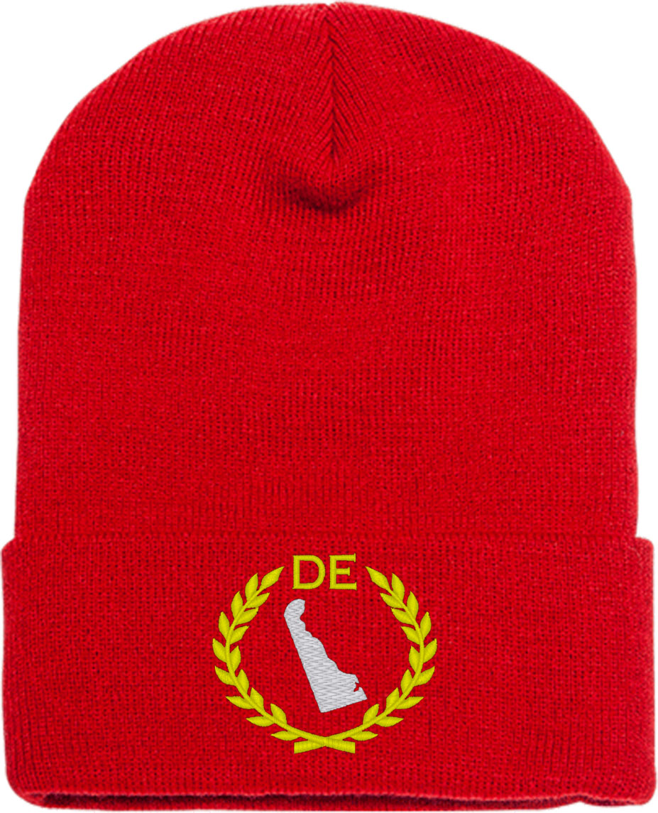 Delaware State Knit Beanie