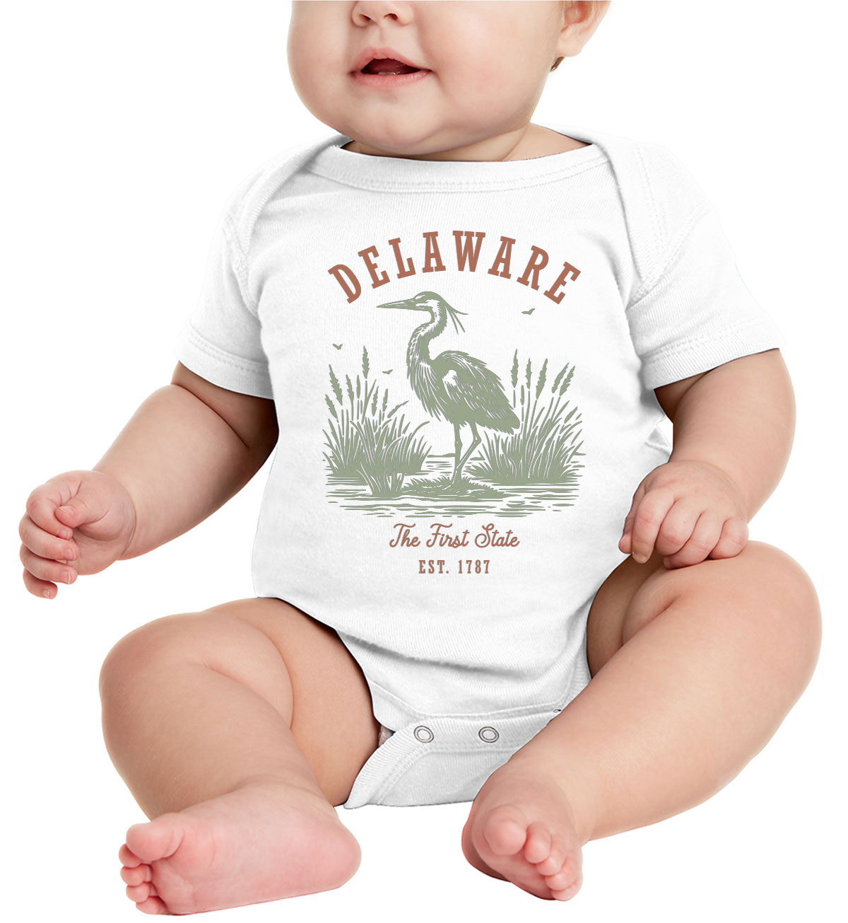 Delaware State Vintage Baby Onesie