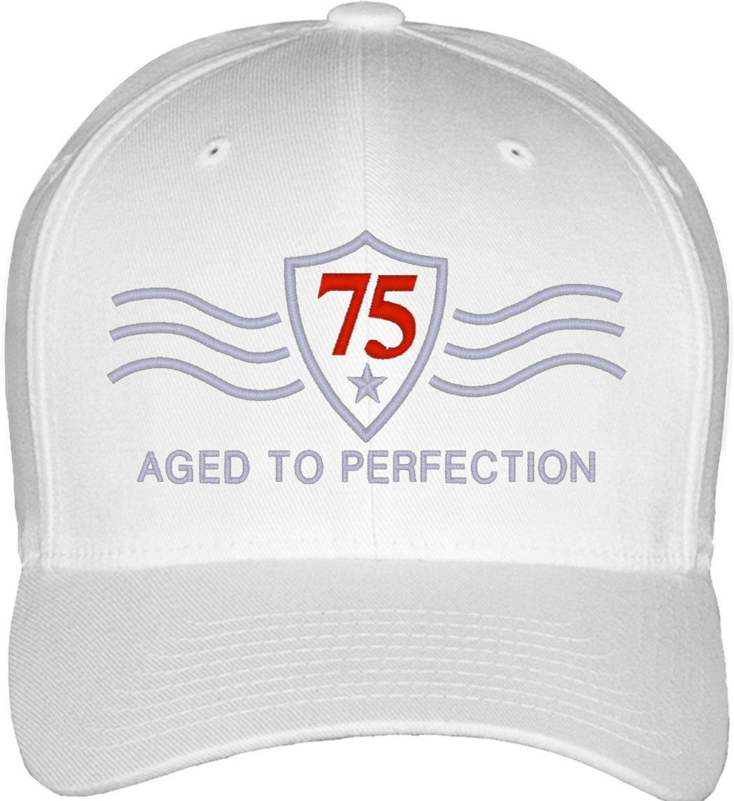 Vintage [Custom Age] Aged To Perfection Birthday Fitted Baseball Cap