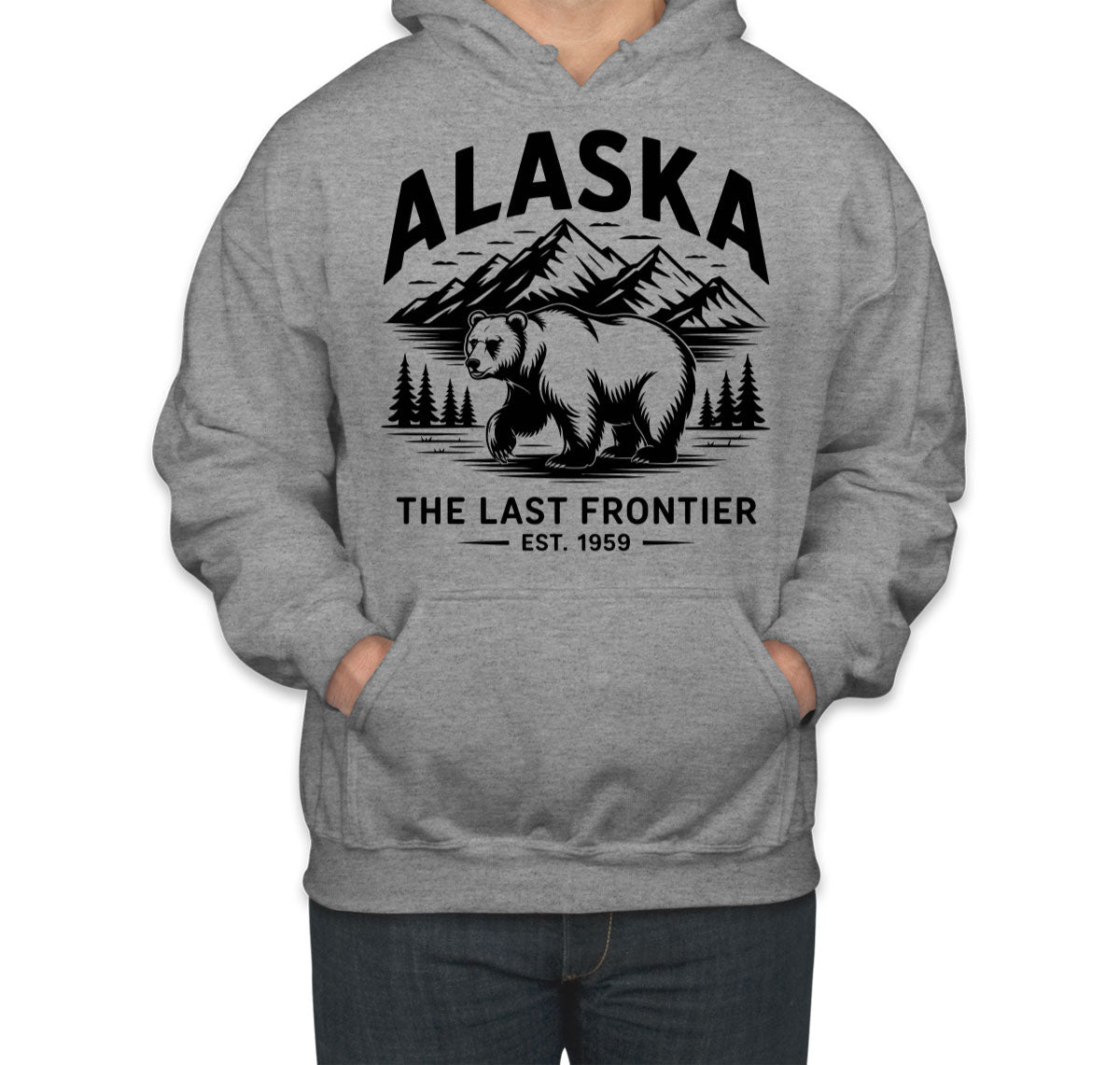 Alaska Cityscape Illustration The Last Frontier Unisex Hoodie