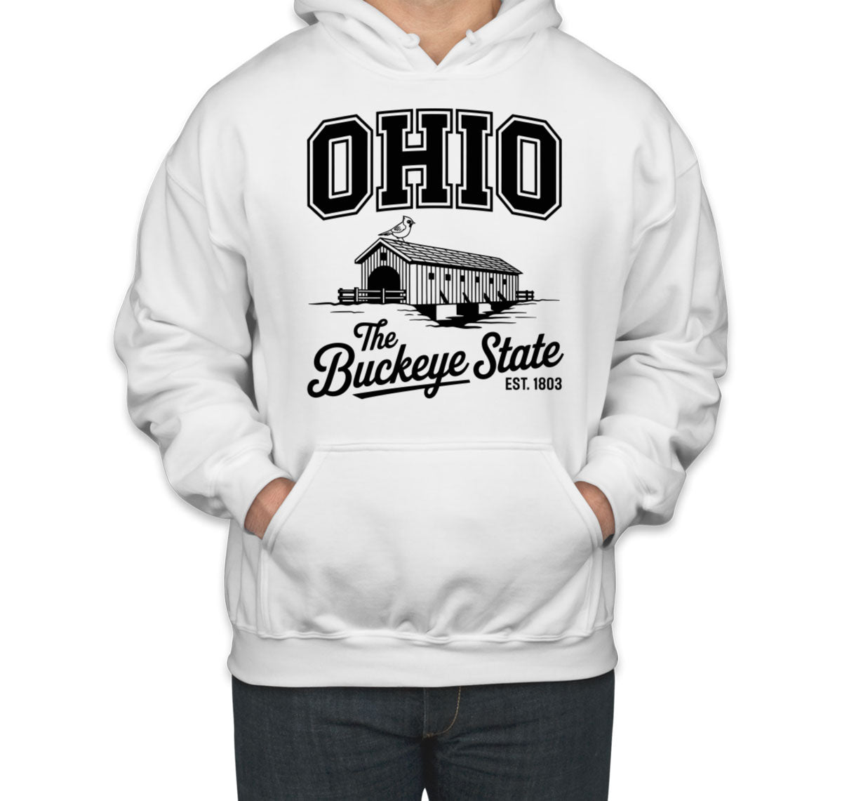 Ohio Cityscape Illustration The Buckeye State Unisex Hoodie