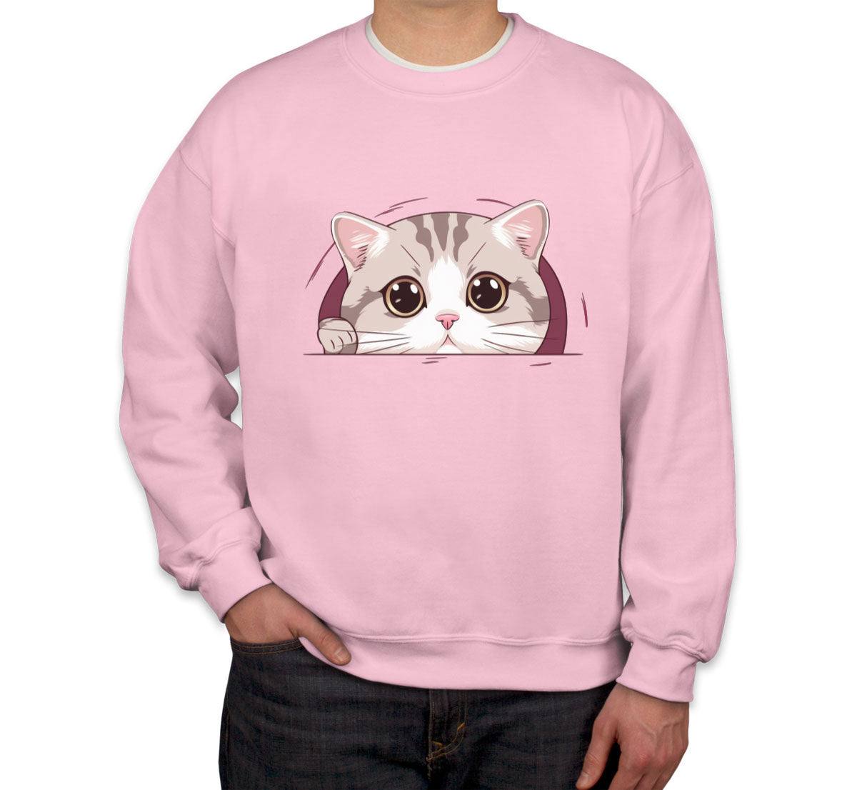 Cute American Cat Unisex Sweatshirt