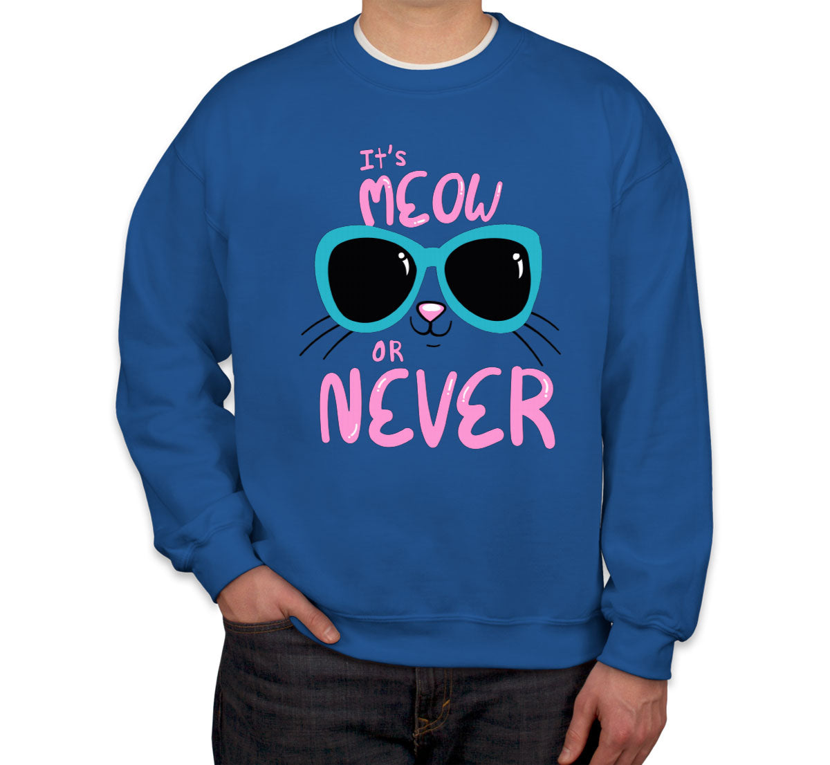 It's Meow Or Never Cat Unisex Sweatshirt