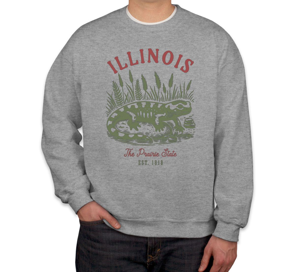 Illinois State Vintage Unisex Sweatshirt