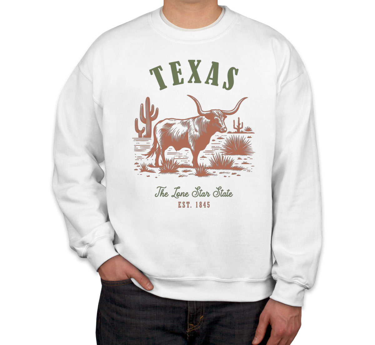 Texas State Vintage Unisex Sweatshirt