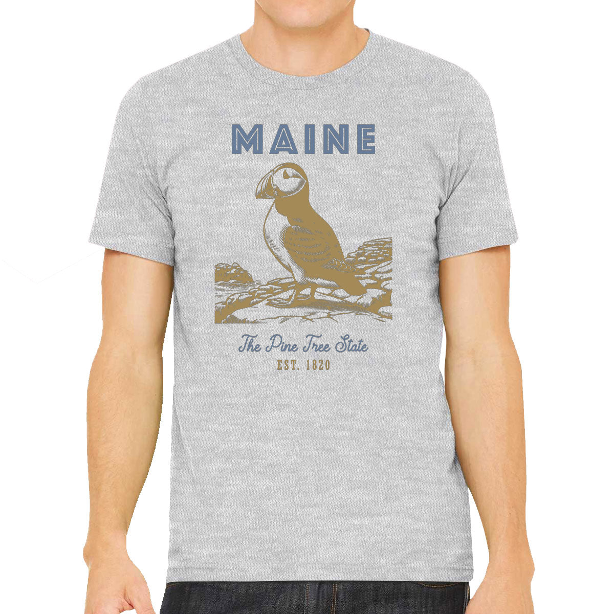 Maine State Vintage Men's T-shirt
