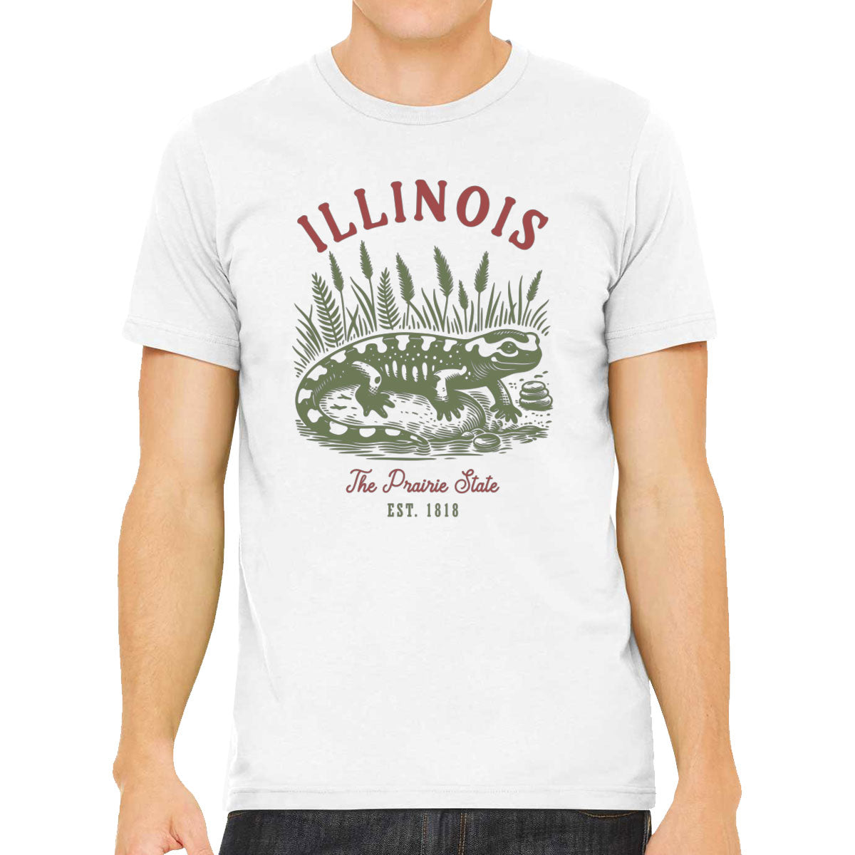 Illinois State Vintage Men's T-shirt