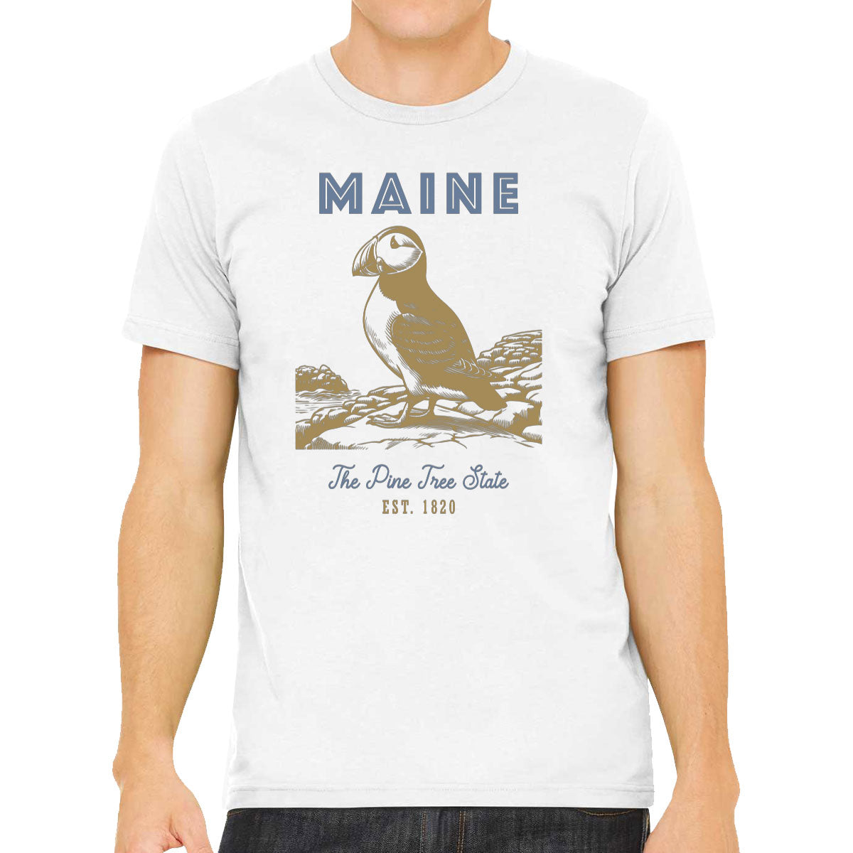 Maine State Vintage Men's T-shirt