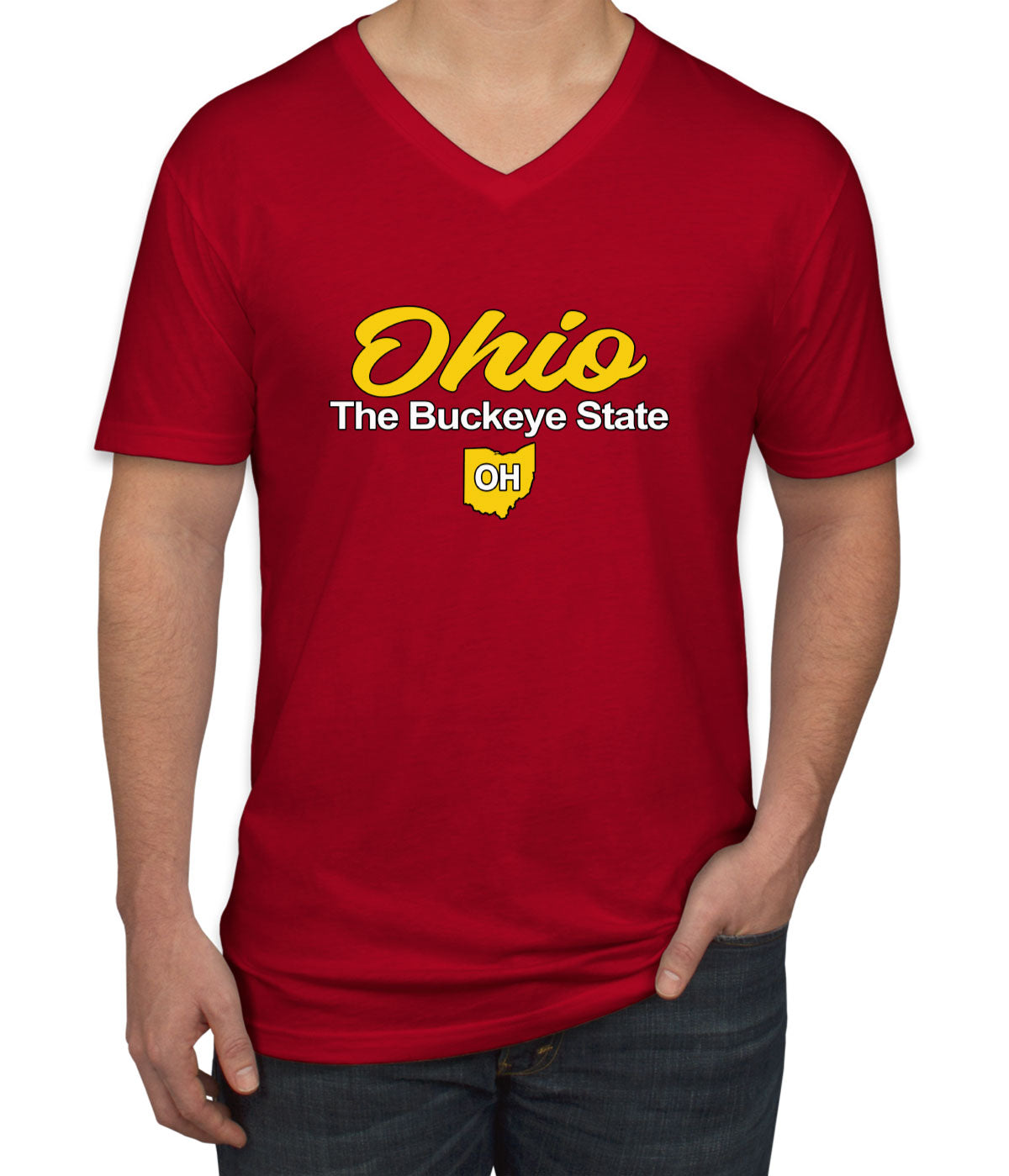 Ohio The Buckeye State Men's V Neck T-shirt
