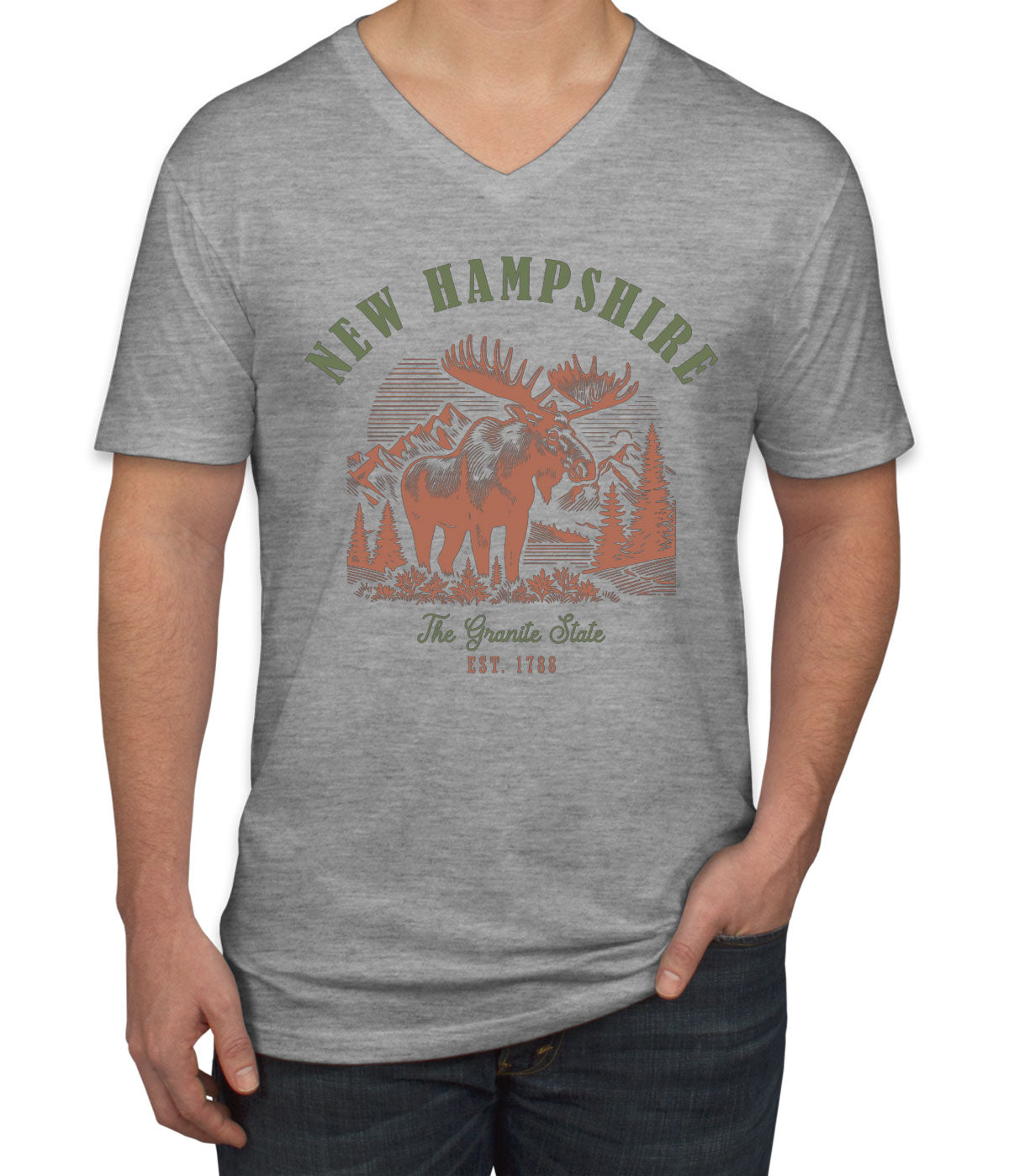 New Hampshire State Vintage Men's V Neck T-shirt
