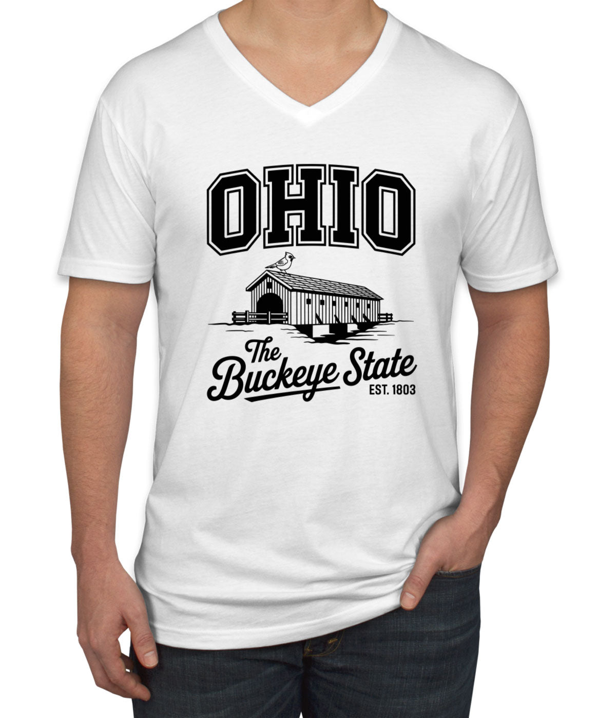 Ohio Cityscape Illustration The Buckeye State Men's V Neck T-shirt