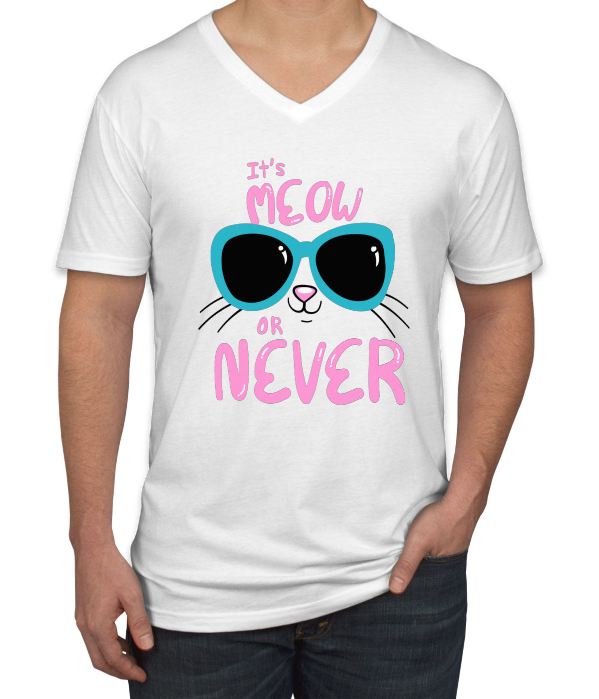 It's Meow Or Never Cat Men's V Neck T-shirt