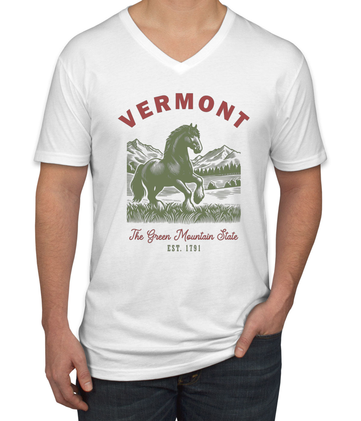 Vermont State Vintage Men's V Neck T-shirt