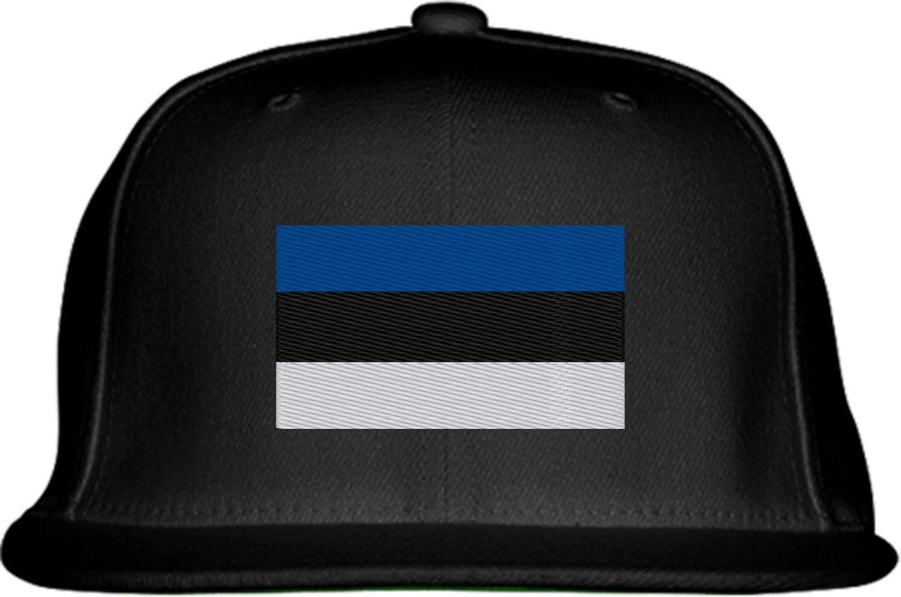 Estonia Flag Snapback Hat