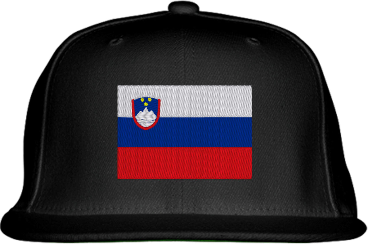 Slovenia Flag Snapback Hat