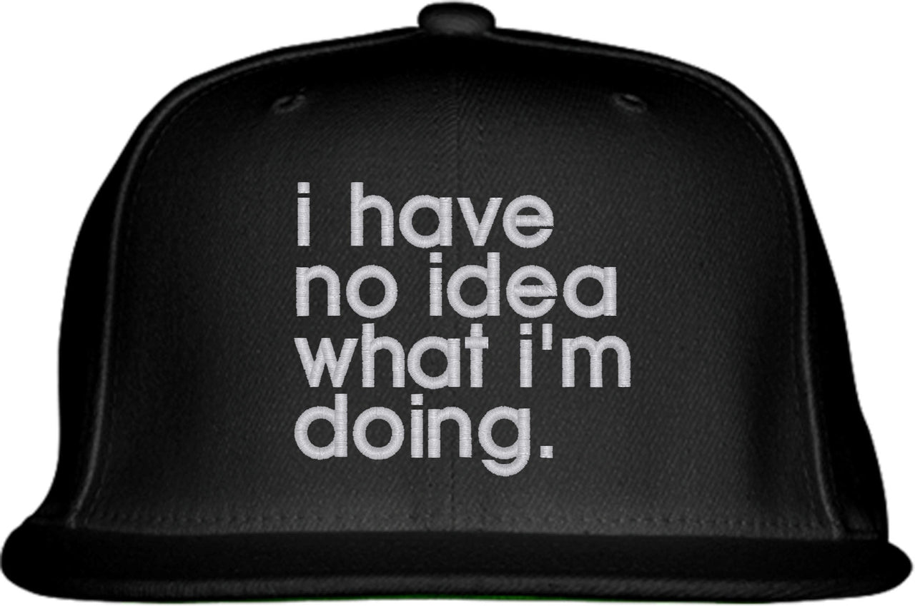 I Have No Idea What I'm Doing Snapback Hat