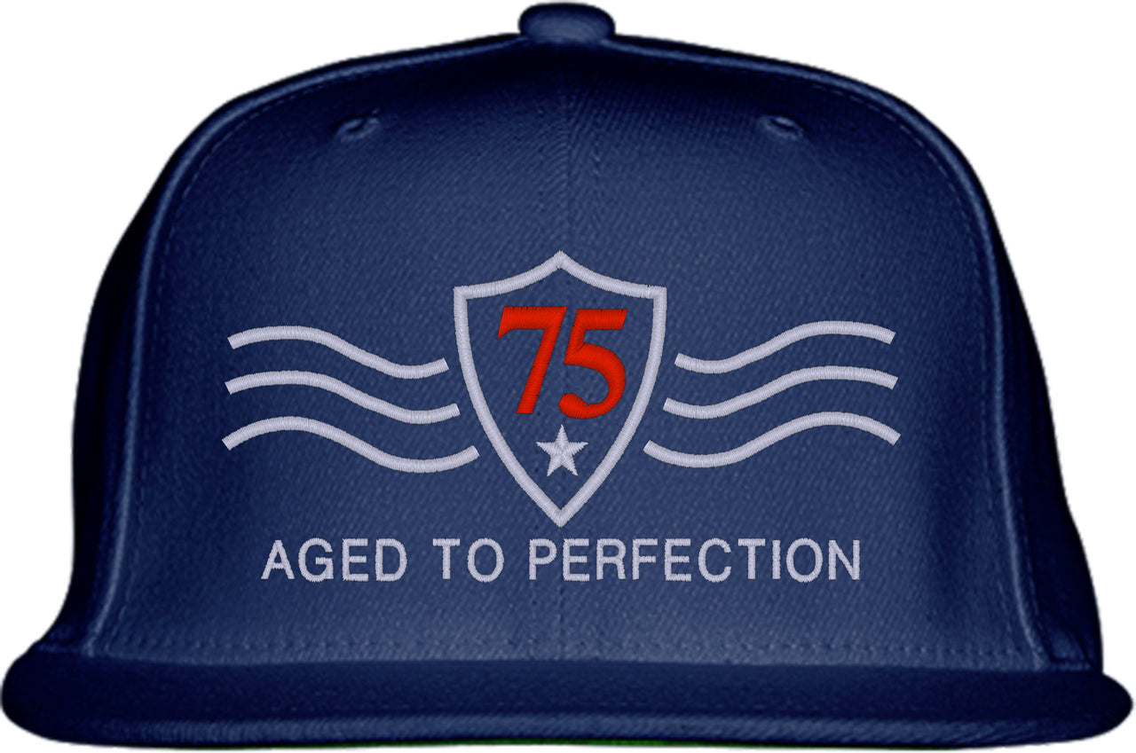 Vintage [Custom Age] Aged To Perfection Birthday Snapback Hat