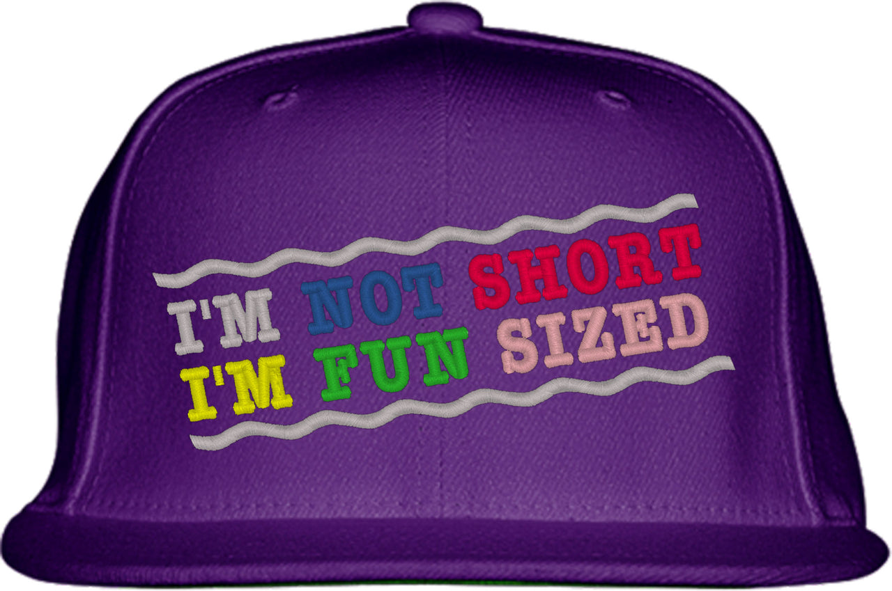 I'm Not Short I'm Fun Sized Snapback Hat