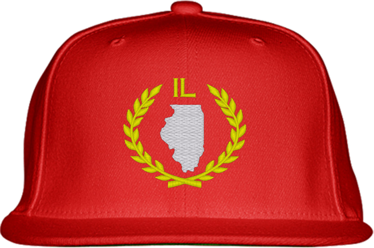 Illinois State Snapback Hat