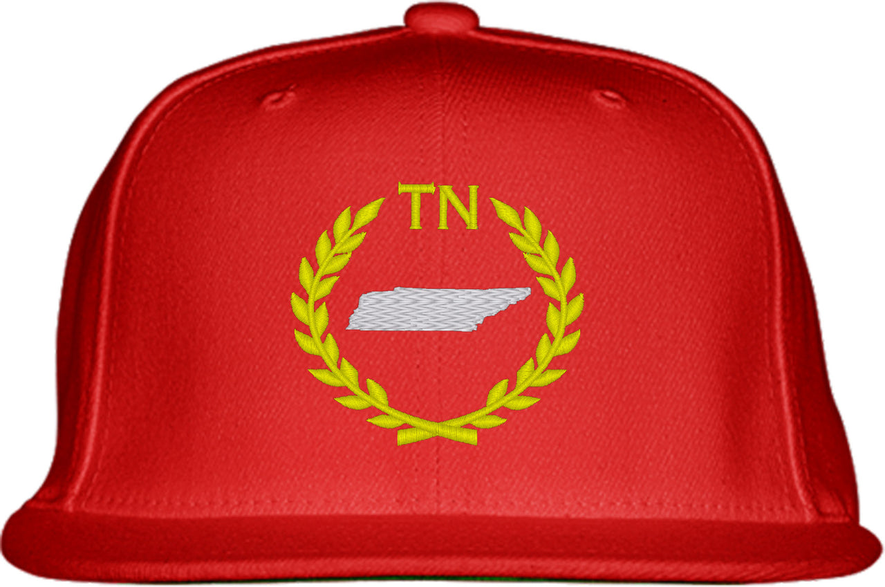 Tennessee State Snapback Hat