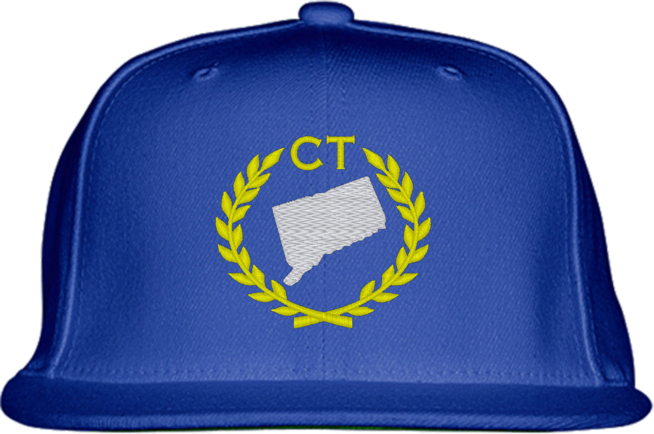 Connecticut State Snapback Hat