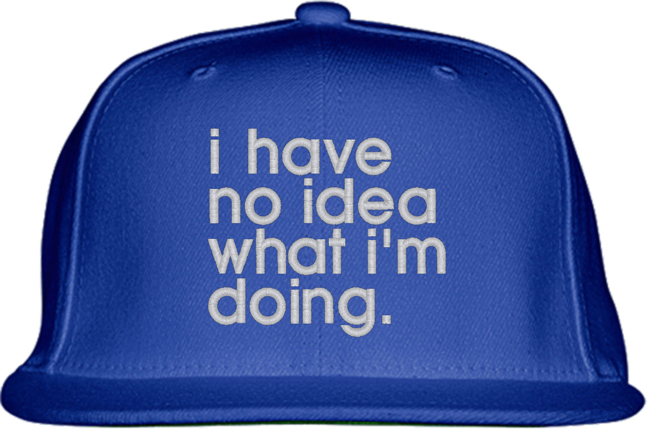 I Have No Idea What I'm Doing Snapback Hat