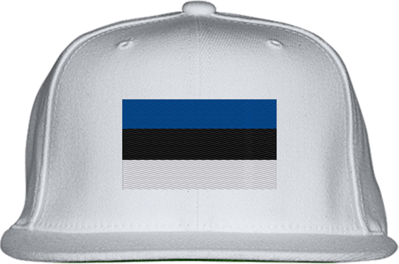 Estonia Flag Snapback Hat