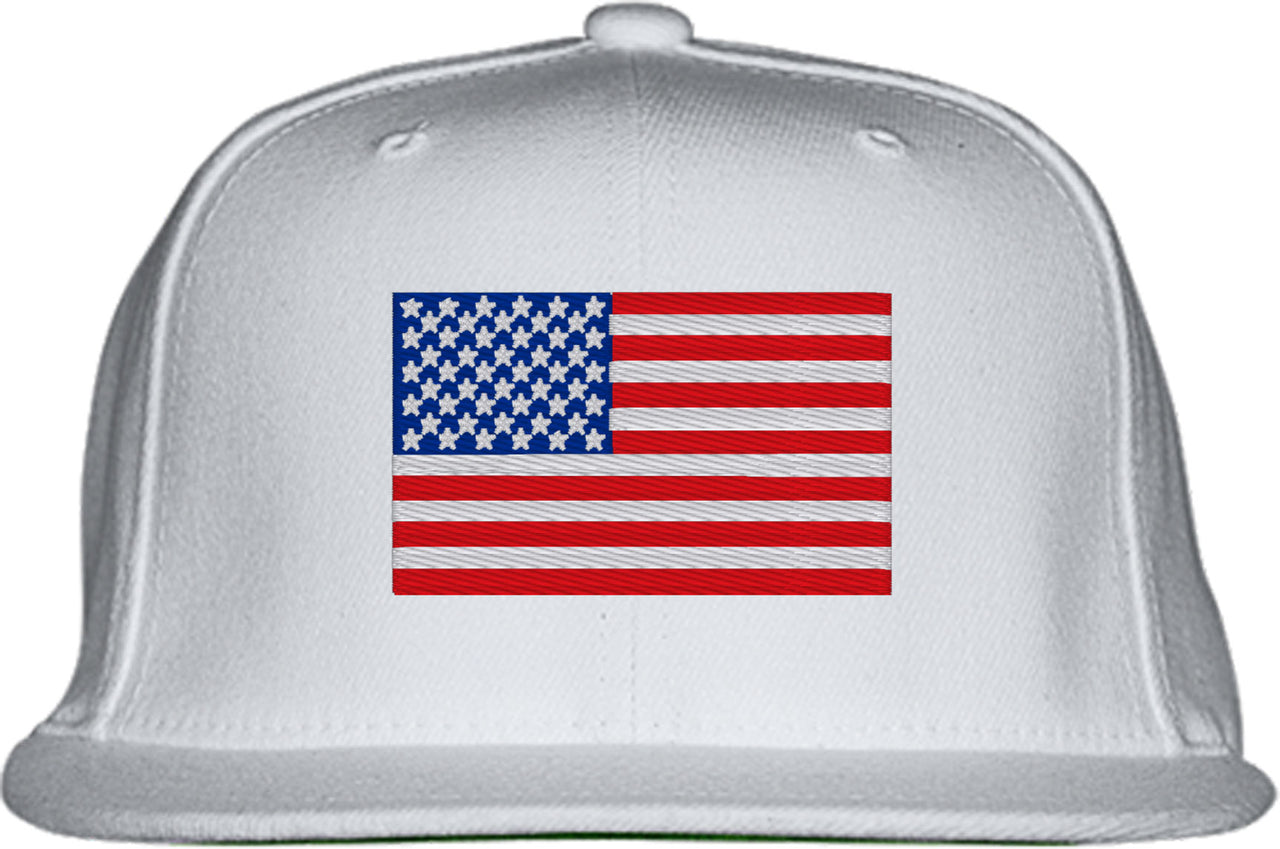 USA Flag Snapback Hat