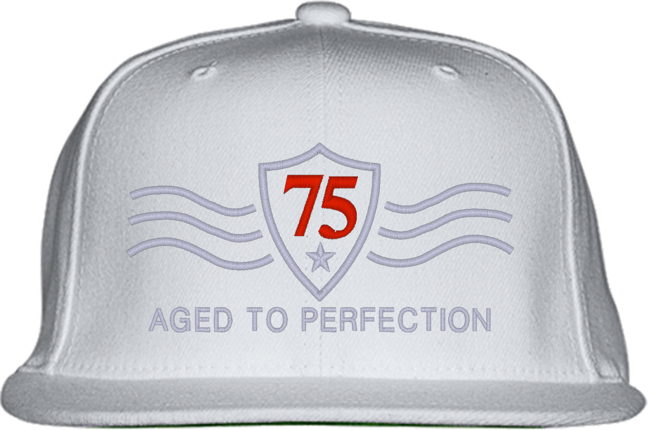 Vintage [Custom Age] Aged To Perfection Birthday Snapback Hat