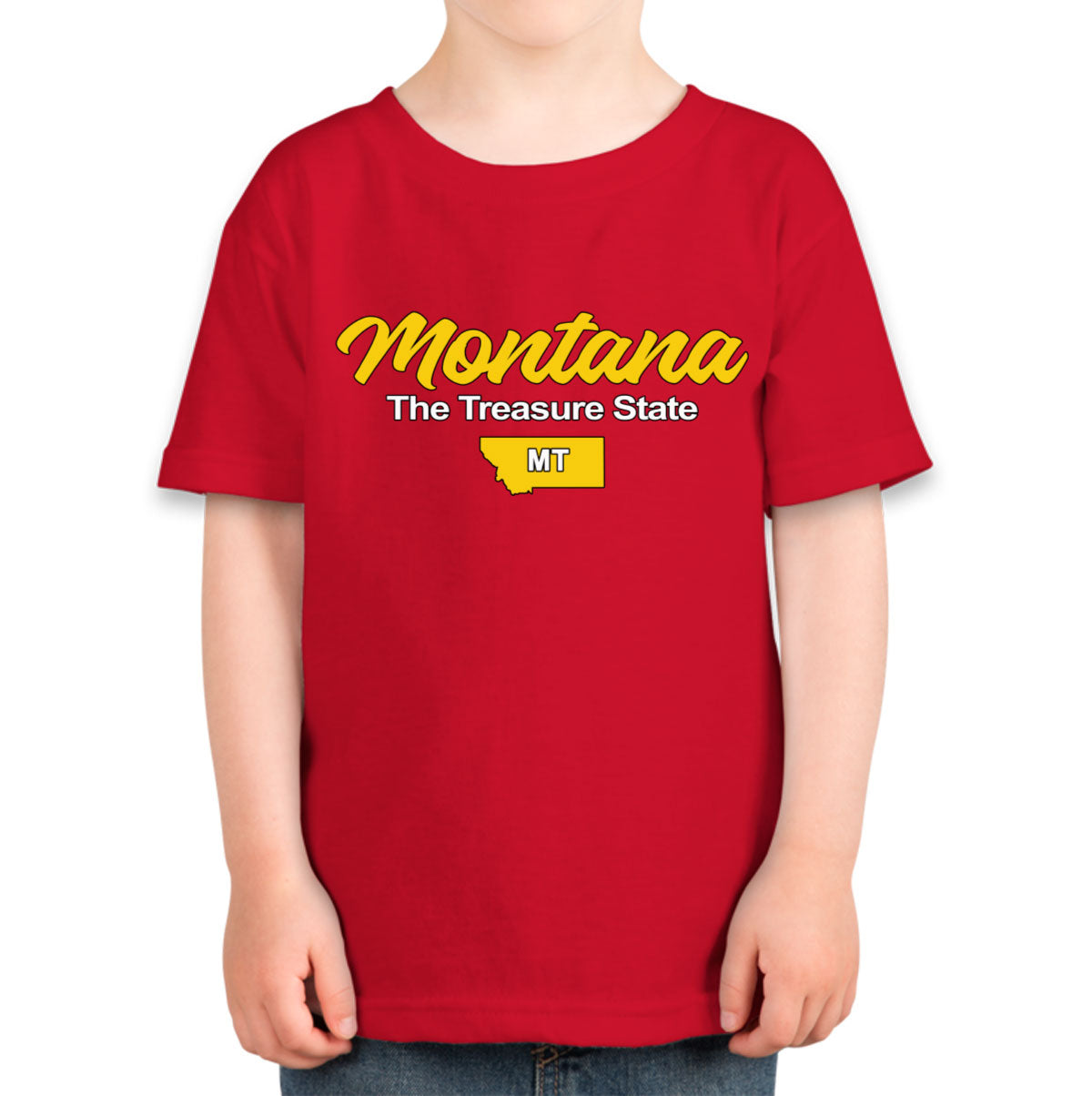 Montana The Treasure State Toddler T-shirt