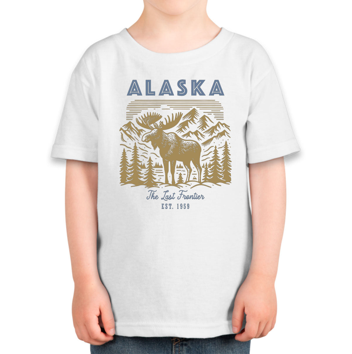 Alaska State Vintage Toddler T-shirt