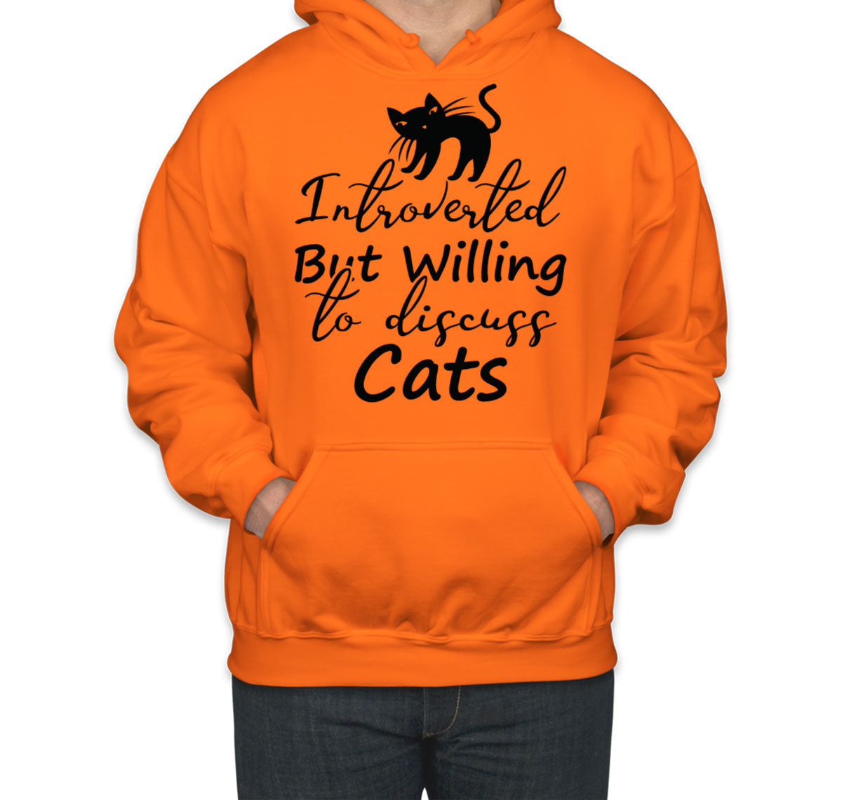 Introverted But Willing To Discuss Cats Unisex Hoodie