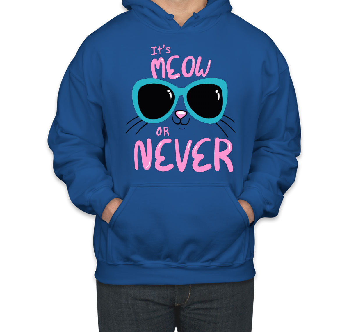 It's Meow Or Never Cat Unisex Hoodie