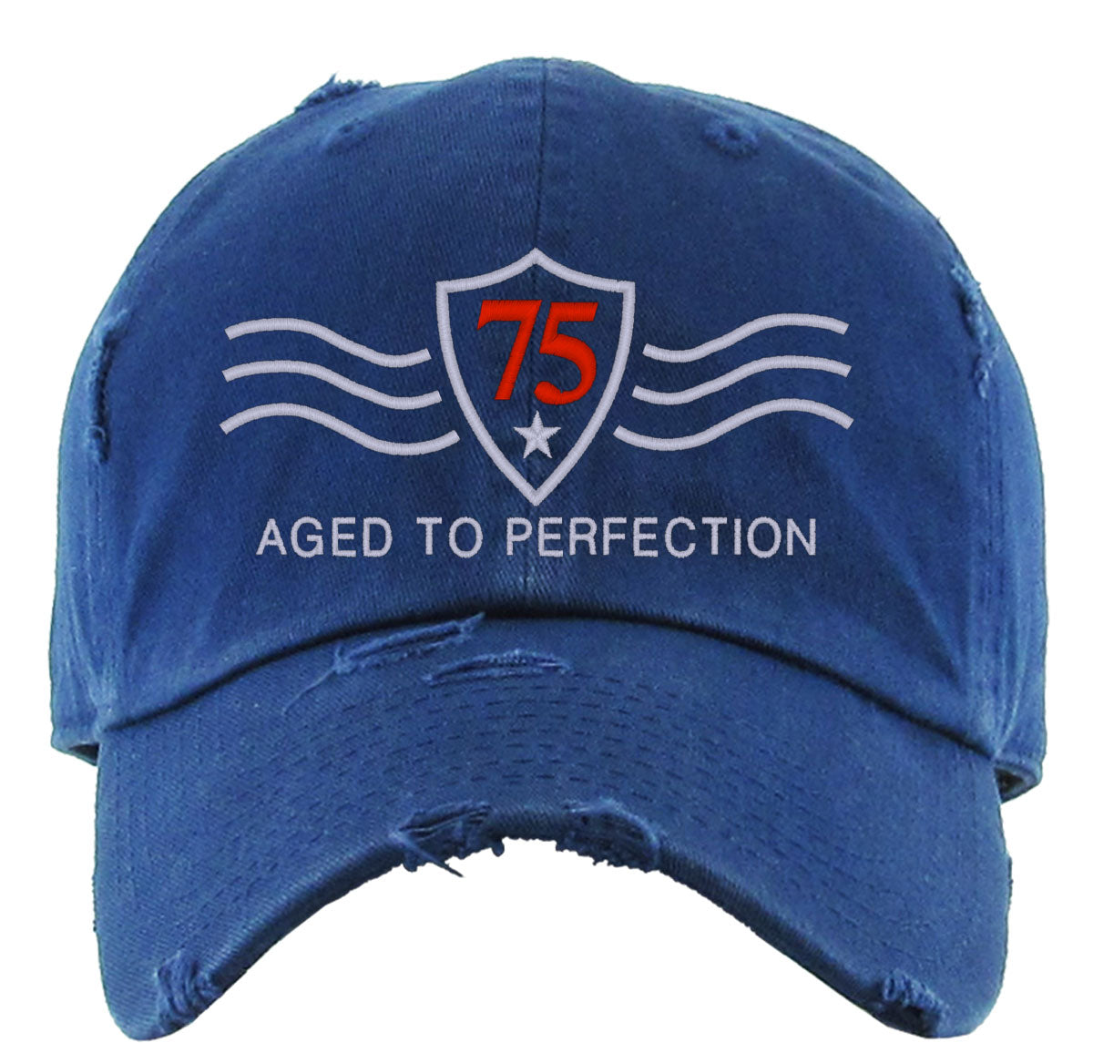 Vintage [Custom Age] Aged To Perfection Birthday Vintage Baseball Cap