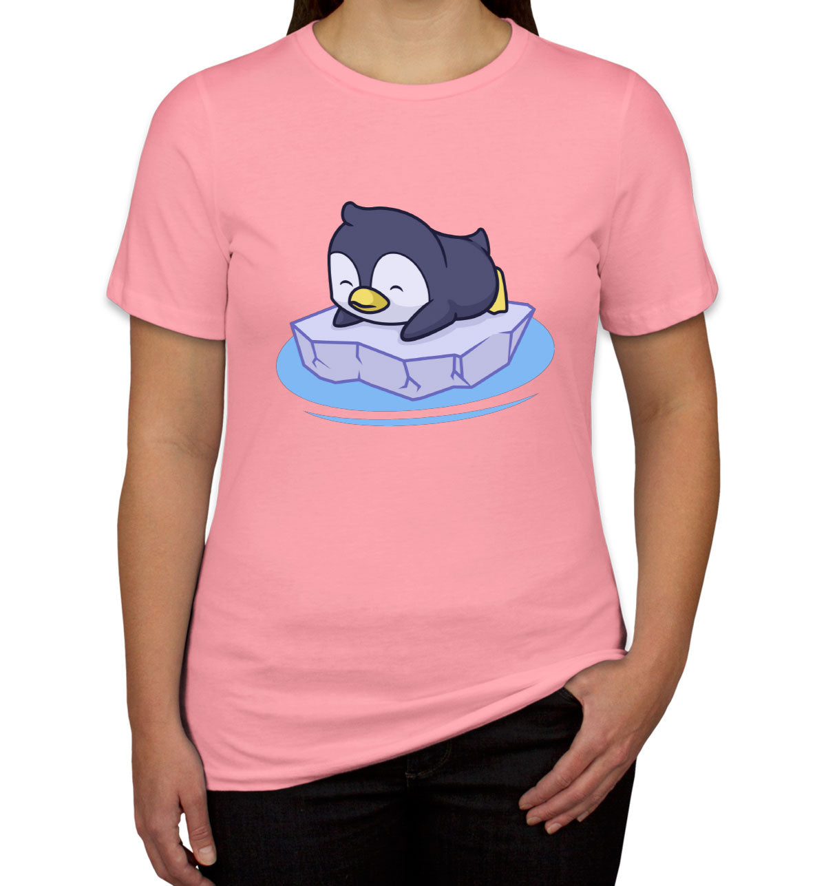 Penguin On Ice Block Women's T-shirt