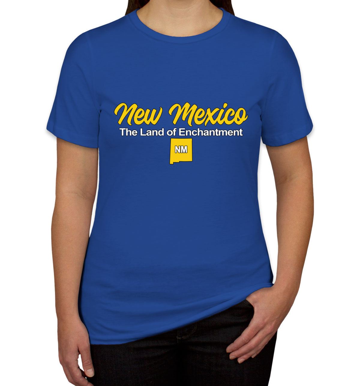 New Mexico The Land Of Enchantment Women's T-shirt