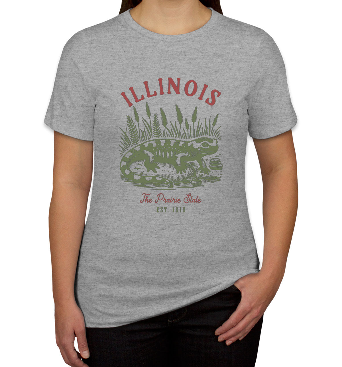 Illinois State Vintage Women's T-shirt