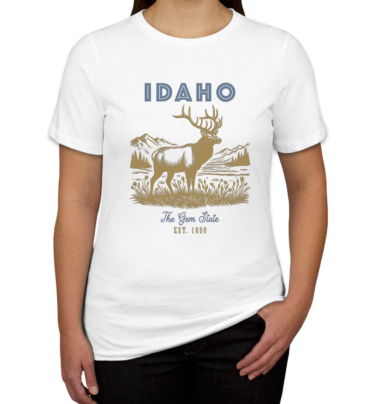 Idaho State Vintage Women's T-shirt