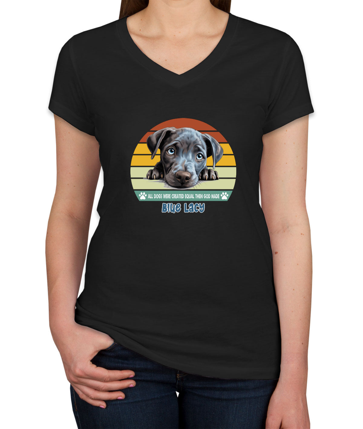 All Dogs Were Created Equal Blue Lacy Women's V Neck T-shirt