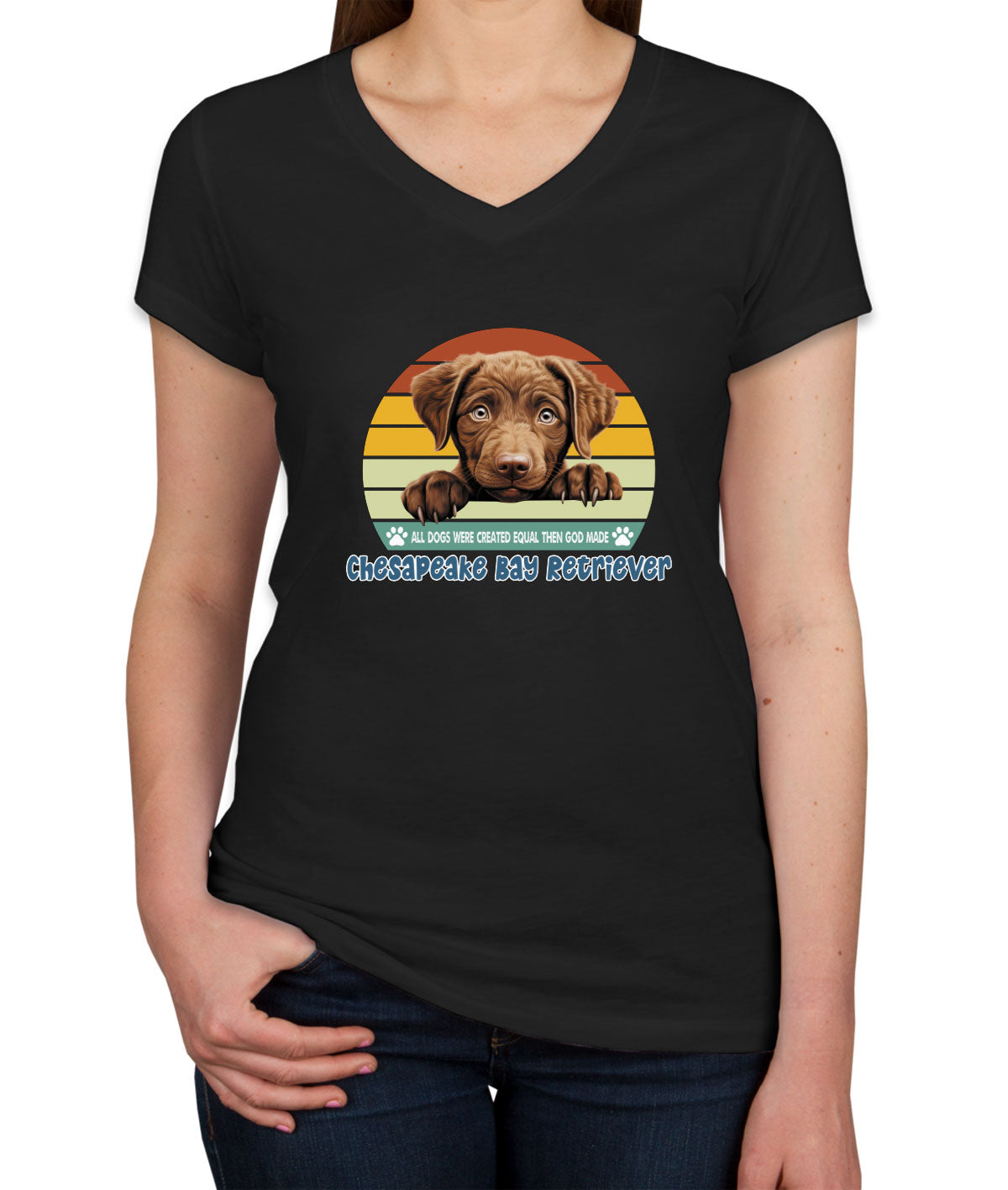 All Dogs Were Created Equal Chesapeake Bay Retriever Women's V Neck T-shirt