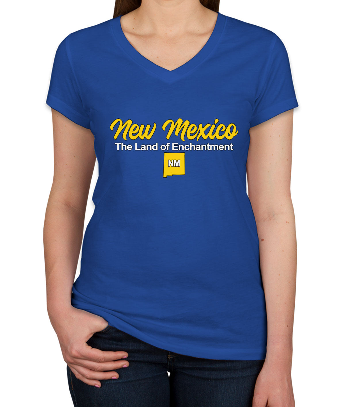 New Mexico The Land Of Enchantment Women's V Neck T-shirt