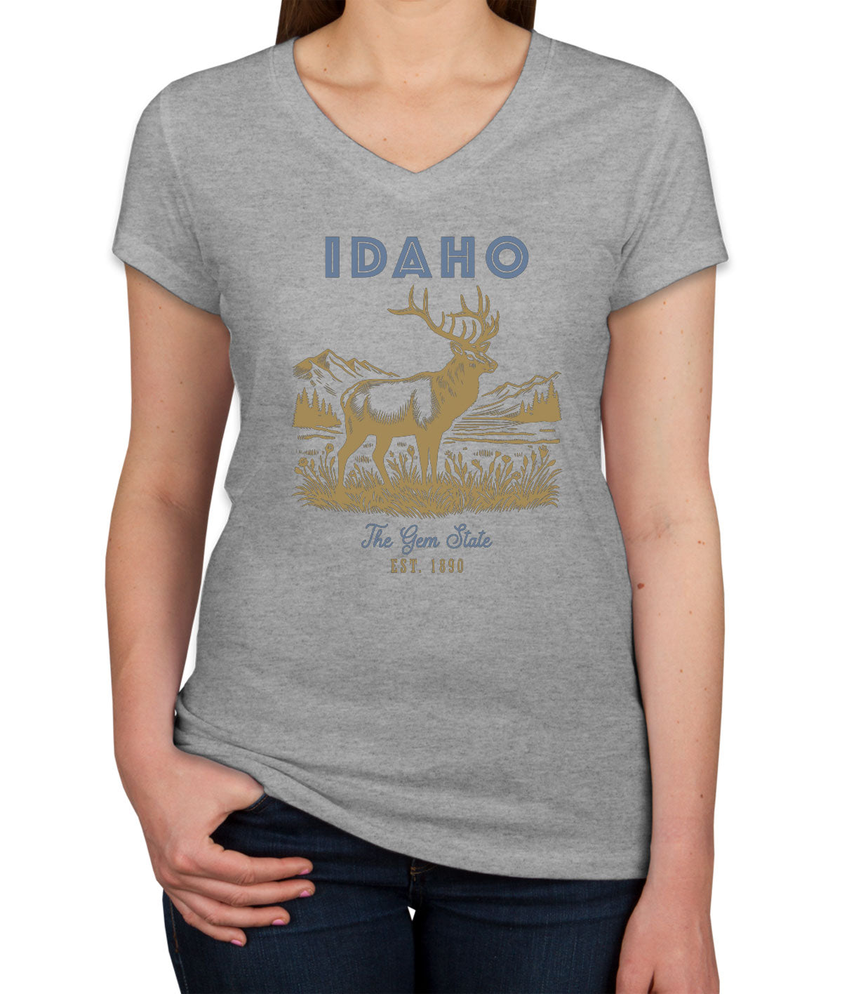 Idaho State Vintage Women's V Neck T-shirt