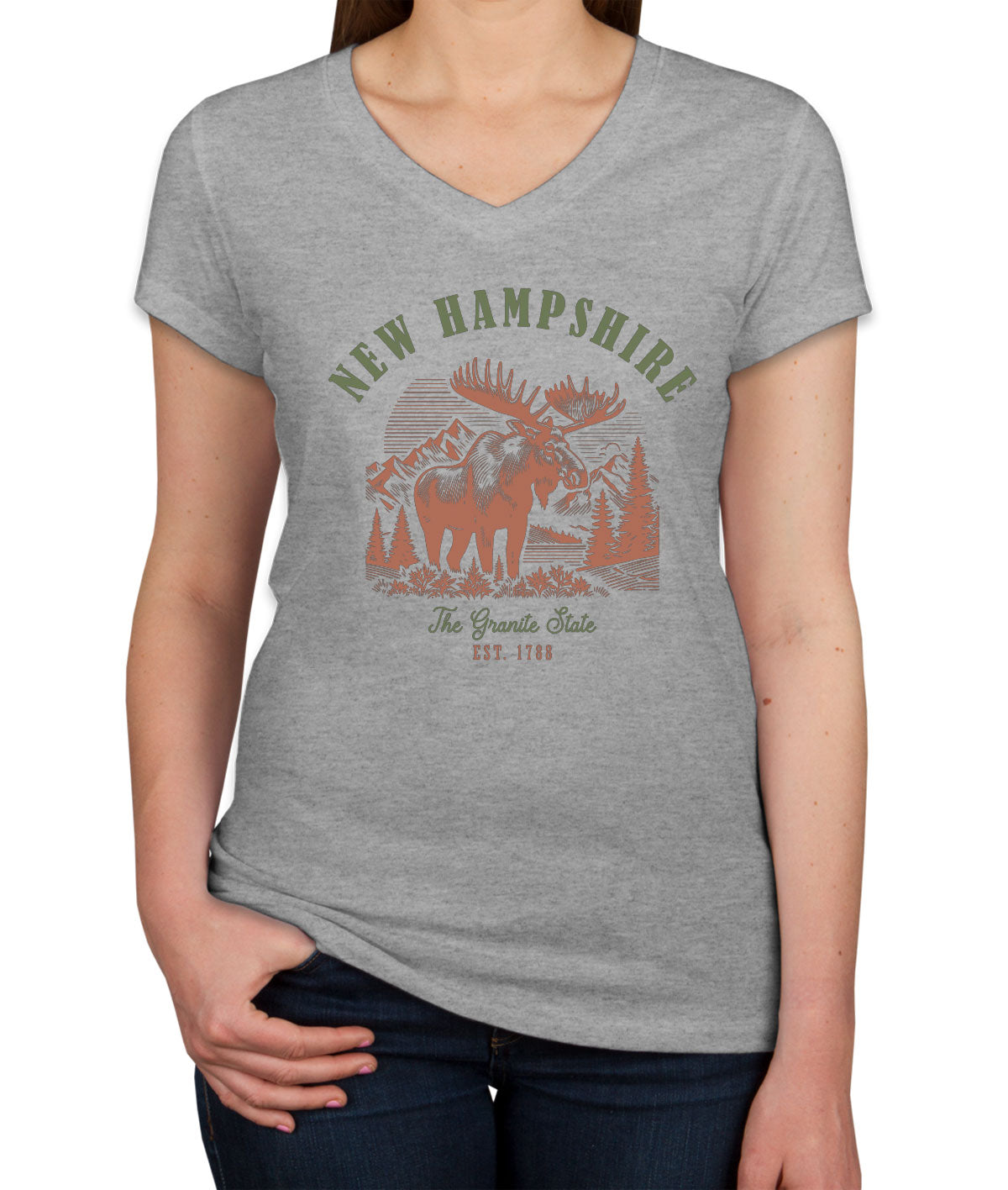 New Hampshire State Vintage Women's V Neck T-shirt
