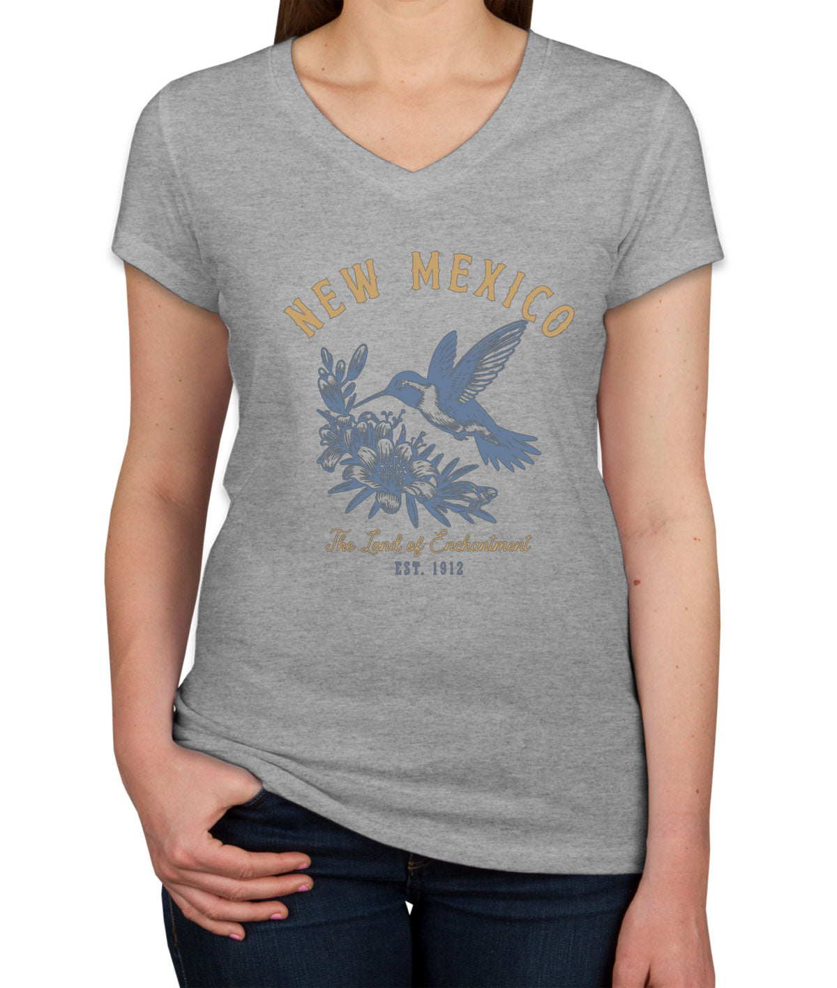 New Mexico State Vintage Women's V Neck T-shirt