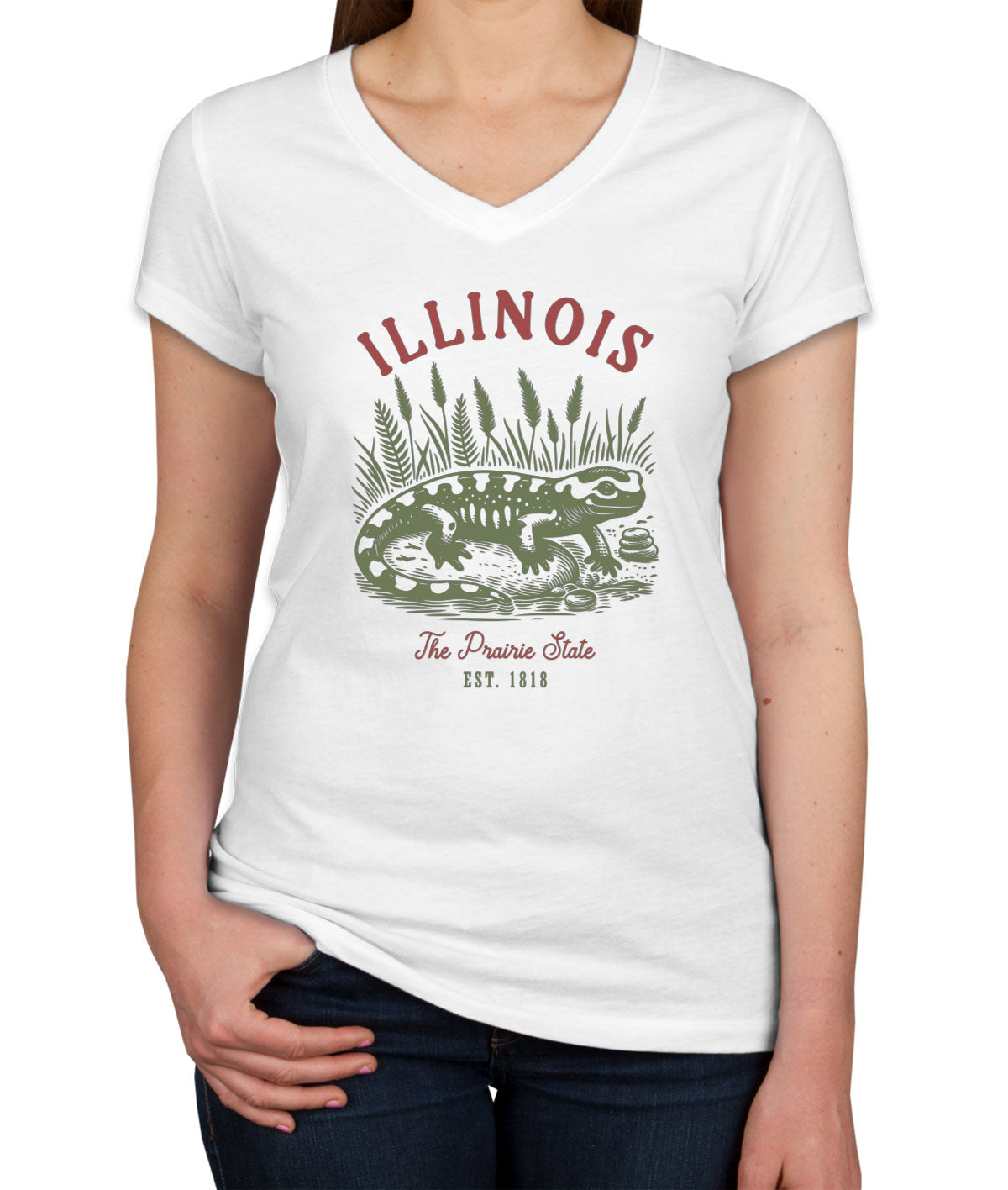 Illinois State Vintage Women's V Neck T-shirt
