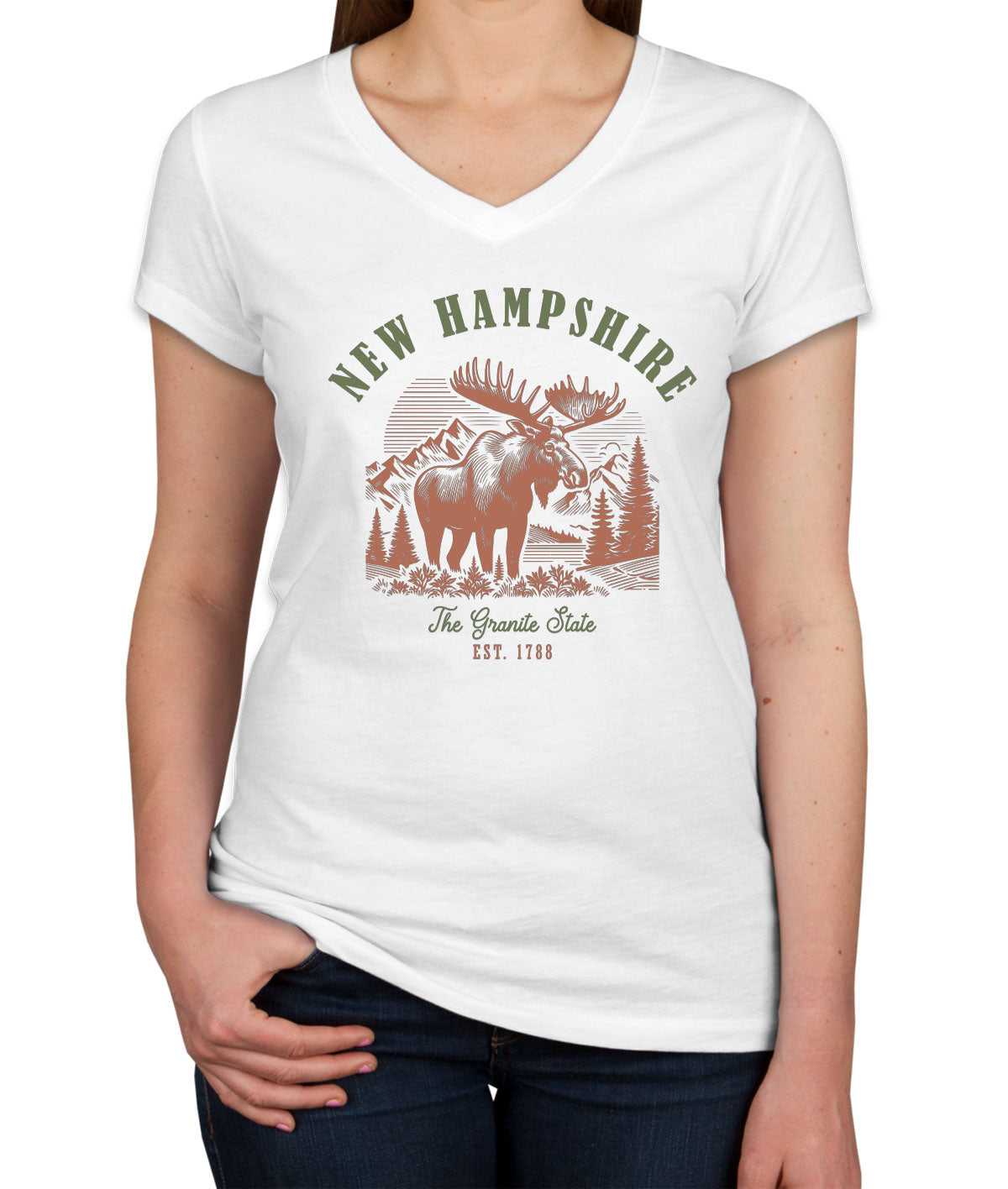 New Hampshire State Vintage Women's V Neck T-shirt