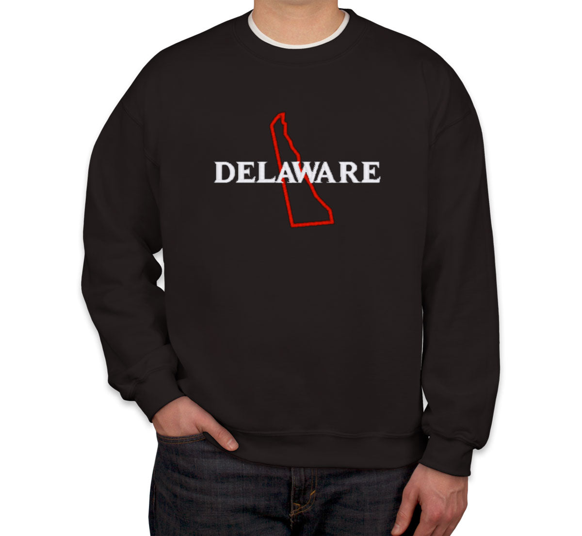 Delaware Embroidered Unisex Sweatshirt
