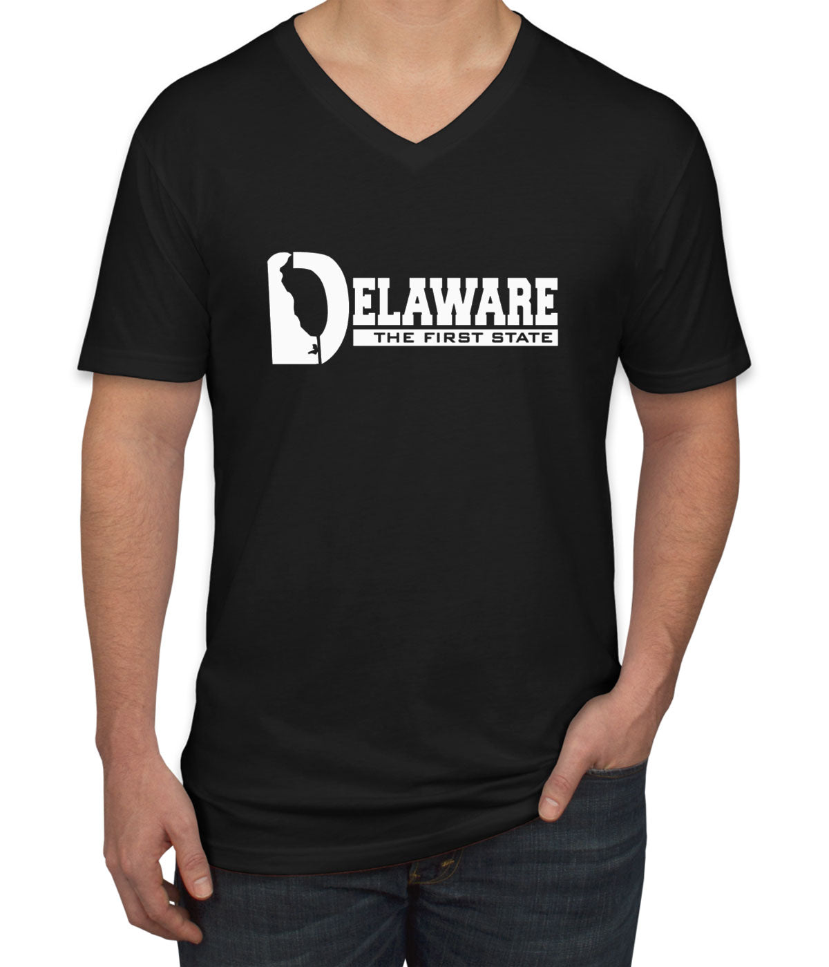 Delaware The First State Men's V Neck T-shirt